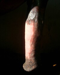 photo-thumb
