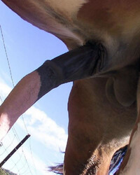 photo-thumb