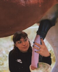 album-cover