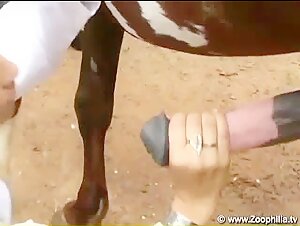 Ayumi Real Horse Cum