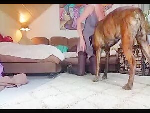 Samy Quick Action
