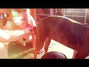 The four s of a big ass fucked by your dog