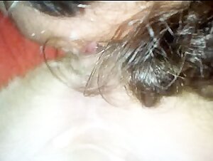 Licking a dog pussy