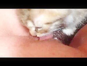 Thumb 6