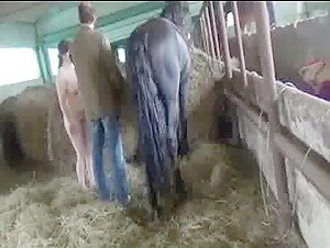 Black Horse fuck a Girl hard