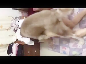 Chinese Nurse fucked by Dog