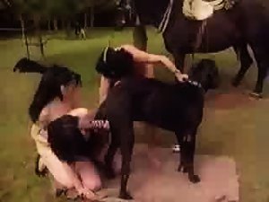 2 Girls Sucking Great Dane