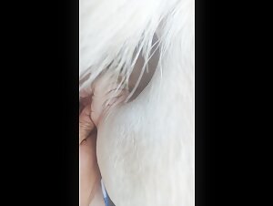 Fucking a mare in the bush