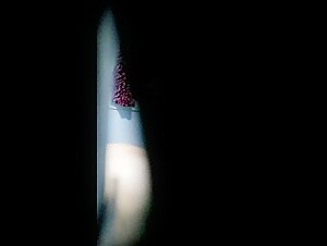 Spying stepmother 11