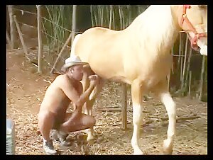 Crazy Horse couples