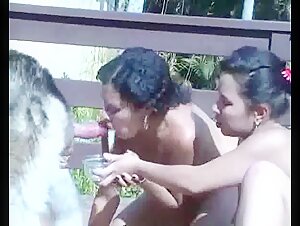 Drink dog semen