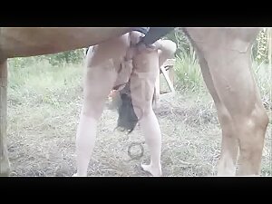 Vixen - A horse what else