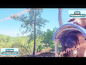 Thumb 8